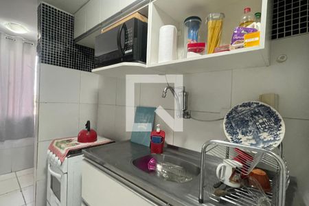 Cozinha de apartamento para alugar com 2 quartos, 55m² em Jardim Primavera, Duque de Caxias