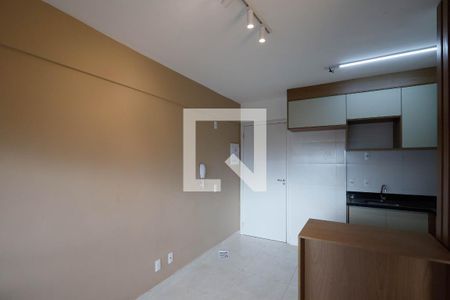 Sala / Cozinha  de kitnet/studio à venda com 1 quarto, 30m² em Vila Mazzei, São Paulo