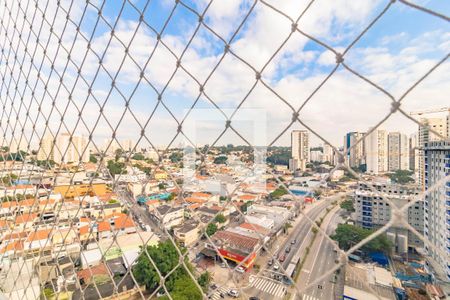 Apartamento à venda com 3 quartos, 65m² em Vila Santa Catarina, São Paulo