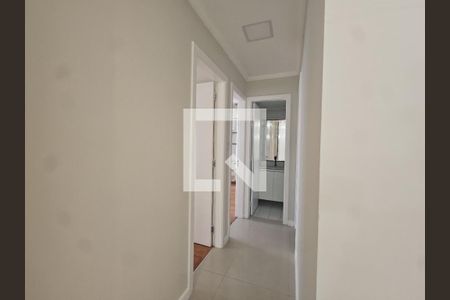 corredor  de apartamento para alugar com 3 quartos, 80m² em Pituba, Salvador