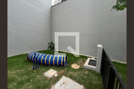 Pet Place de apartamento para alugar com 2 quartos, 46m² em Várzea de Baixo, São Paulo