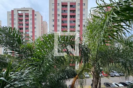 Vista - Sacada  de apartamento para alugar com 3 quartos, 69m² em Planalto, São Bernardo do Campo