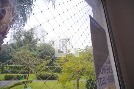 Vista da Sala  de apartamento para alugar com 3 quartos, 68m² em Jardim Carvalho, Porto Alegre