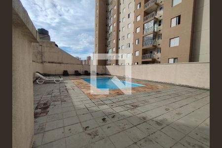 Área comum - Piscina de apartamento para alugar com 2 quartos, 63m² em Vila das Merces, São Paulo