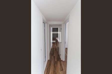 Corredor de apartamento para alugar com 2 quartos, 172m² em Cruzeiro, Belo Horizonte