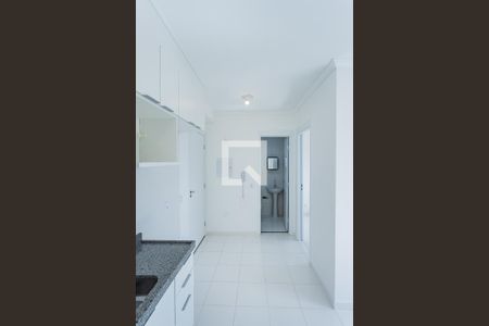 Sala, cozinha e área de serviço de apartamento para alugar com 1 quarto, 31m² em Vila Albertina, São Paulo