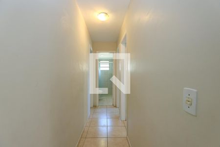 Corredor de apartamento para alugar com 3 quartos, 73m² em Vila Suzana, São Paulo