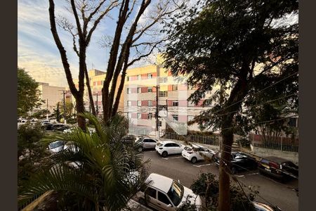Vista  de apartamento para alugar com 3 quartos, 86m² em Santo Amaro, São Paulo