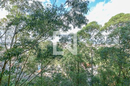 Vista Quarto 1 de apartamento para alugar com 3 quartos, 105m² em Vila Castelo, São Paulo