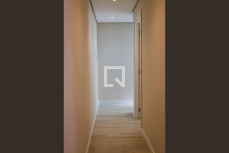 Corredor de kitnet/studio para alugar com 1 quarto, 34m² em Jardim Paris, São Paulo
