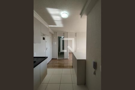 Cozinha - Armários de apartamento para alugar com 2 quartos, 35m² em Vila da Saúde, São Paulo