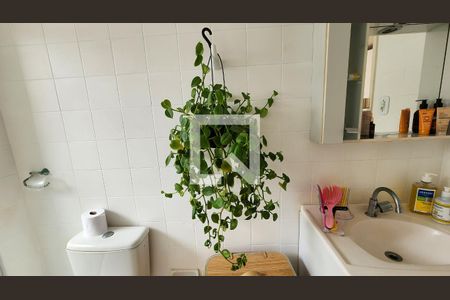 Banheiro  de apartamento para alugar com 1 quarto, 60m² em Pituba, Salvador