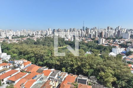 Vista da sala de tv de apartamento para alugar com 3 quartos, 320m² em Cambuci, São Paulo