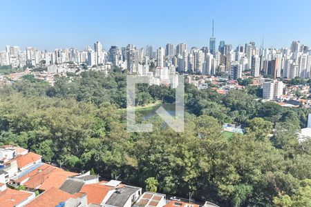 Vista da sala de apartamento para alugar com 3 quartos, 320m² em Cambuci, São Paulo