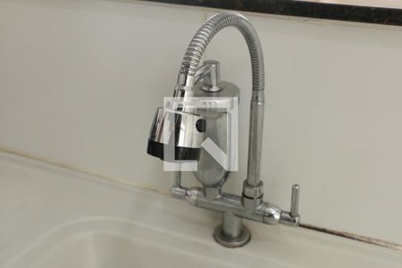 Cozinha - Torneira de apartamento para alugar com 2 quartos, 50m² em Santa Rita, Nova Iguaçu