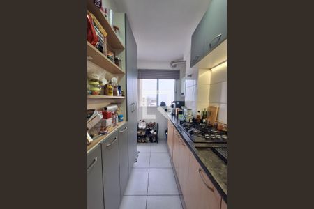 Cozinha de apartamento para alugar com 2 quartos, 45m² em Parque Sarapuí, Duque de Caxias