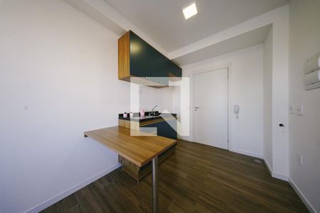 Sala/Cozinha de apartamento para alugar com 1 quarto, 29m² em Vila Guilhermina, São Paulo