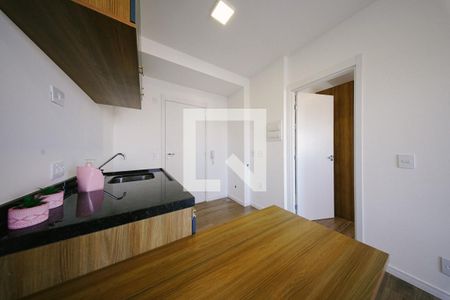 Sala/Cozinha de apartamento para alugar com 1 quarto, 29m² em Vila Guilhermina, São Paulo