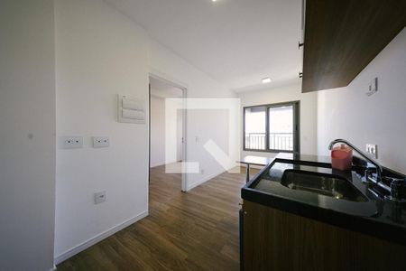 Sala/Cozinha de apartamento para alugar com 1 quarto, 29m² em Vila Guilhermina, São Paulo