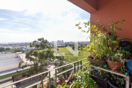 Varanda de apartamento à venda com 3 quartos, 65m² em Vila do Castelo, São Paulo