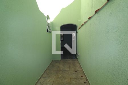 Jardim de Inverno de casa para alugar com 3 quartos, 260m² em Parque das Nações, Santo André