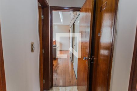 Corredor de apartamento para alugar com 3 quartos, 85m² em Santo Antônio, Belo Horizonte