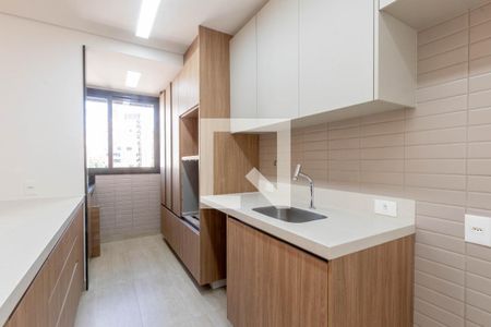 Cozinha de apartamento para alugar com 3 quartos, 108m² em Lourdes, Belo Horizonte