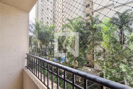 Varanda da Sala de apartamento para alugar com 3 quartos, 60m² em Nova Petrópolis, São Bernardo do Campo