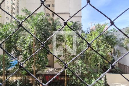 Apartamento para alugar com 3 quartos, 60m² em Nova Petrópolis, São Bernardo do Campo