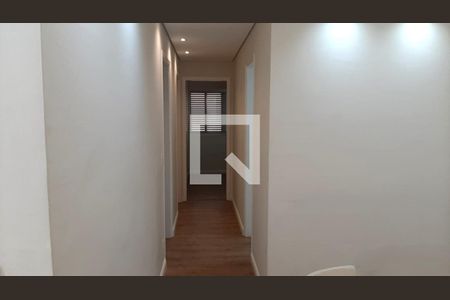 Corredor de apartamento para alugar com 3 quartos, 76m² em Jardim Flamboyant, Campinas