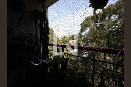 Varanda da Sala de apartamento para alugar com 3 quartos, 80m² em Jardim Monte Kemel, São Paulo