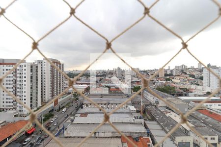 Apartamento para alugar com 2 quartos, 49m² em Vila Maria, São Paulo
