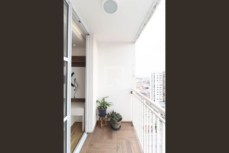 Apartamento para alugar com 2 quartos, 49m² em Vila Maria, São Paulo