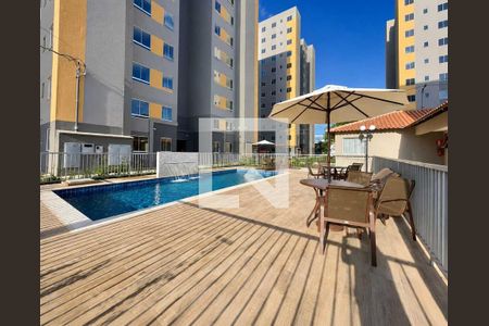 Piscina de apartamento para alugar com 2 quartos, 50m² em Bairro da Glória, Contagem