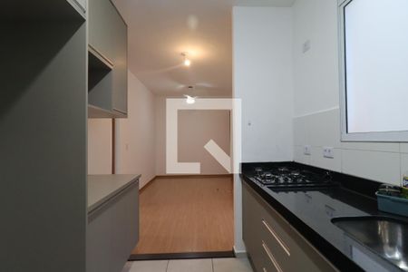 Cozinha de apartamento para alugar com 2 quartos, 45m² em Recreio das Acacias, Ribeirão Preto