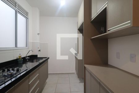 Cozinha de apartamento para alugar com 2 quartos, 45m² em Recreio das Acacias, Ribeirão Preto