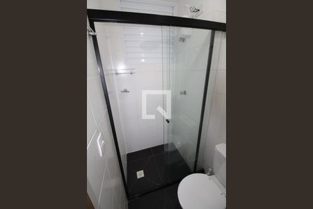 Banheiro de apartamento para alugar com 2 quartos, 48m² em Jardim das Industrias, São José dos Campos
