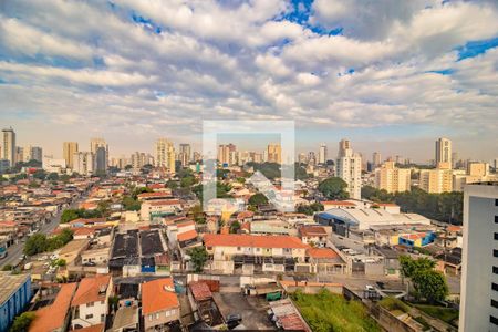 Apartamento para alugar com 2 quartos, 39m² em Vila Paulista, São Paulo
