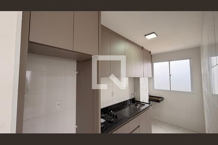 Cozinha de apartamento para alugar com 2 quartos, 45m² em Setor Faicalville, Goiânia
