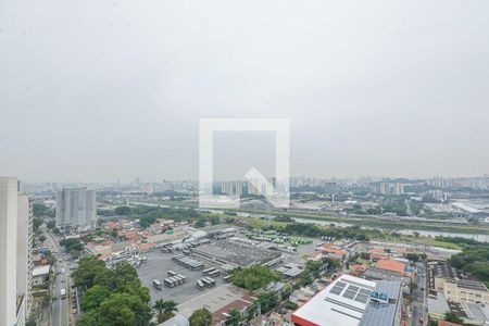 Vista Sala de apartamento para alugar com 2 quartos, 35m² em Veleiros, São Paulo