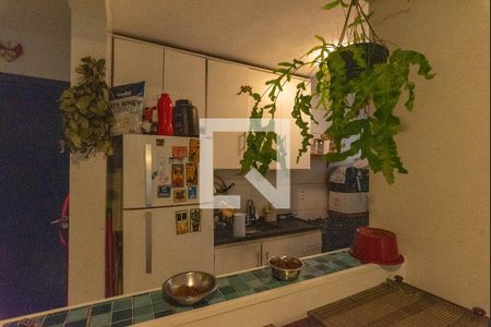 Cozinha de apartamento à venda com 2 quartos, 47m² em Loteamento Parque São Martinho, Campinas