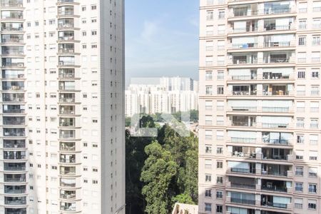 Vista da Varanda de apartamento para alugar com 2 quartos, 52m² em Alphaville Empresarial, Barueri