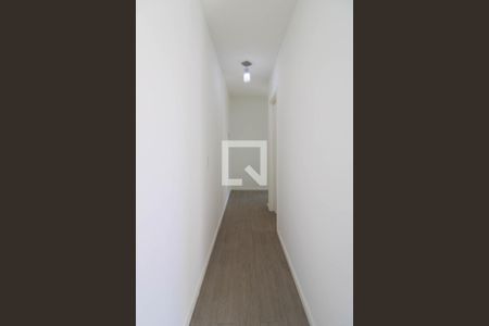 Corredor  de apartamento para alugar com 2 quartos, 46m² em Jardim Leonidas Moreira, São Paulo