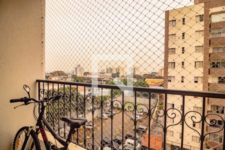 Apartamento à venda com 3 quartos, 64m² em Vila Santa Catarina, São Paulo