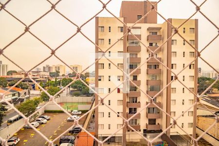 Apartamento à venda com 3 quartos, 64m² em Vila Santa Catarina, São Paulo