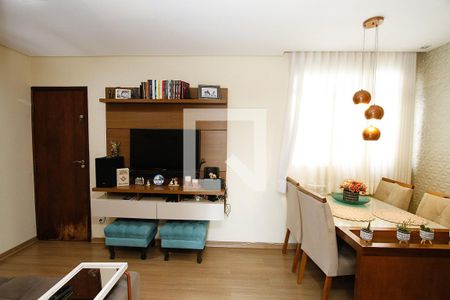Sala de apartamento à venda com 3 quartos, 55m² em Nova Barroca, Belo Horizonte