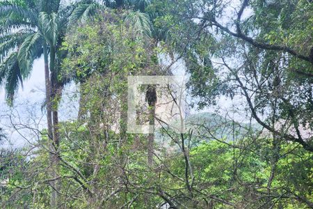 Vista  de apartamento para alugar com 3 quartos, 250m² em Flamengo, Rio de Janeiro