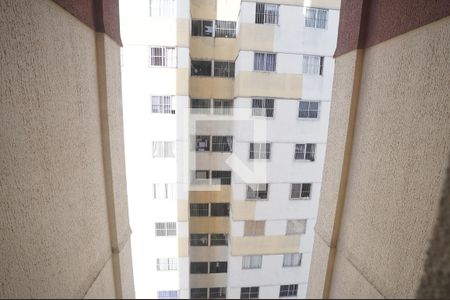 Apartamento à venda com 3 quartos, 67m² em Jardim Ana Lúcia, Goiânia