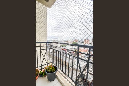 Sala de apartamento à venda com 2 quartos, 55m² em Vila Curuçá, Santo André