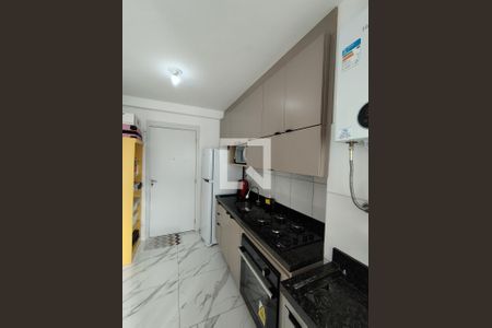 Cozinha - Armários de apartamento para alugar com 2 quartos, 38m² em Jardim Imperador (zona Sul), São Paulo